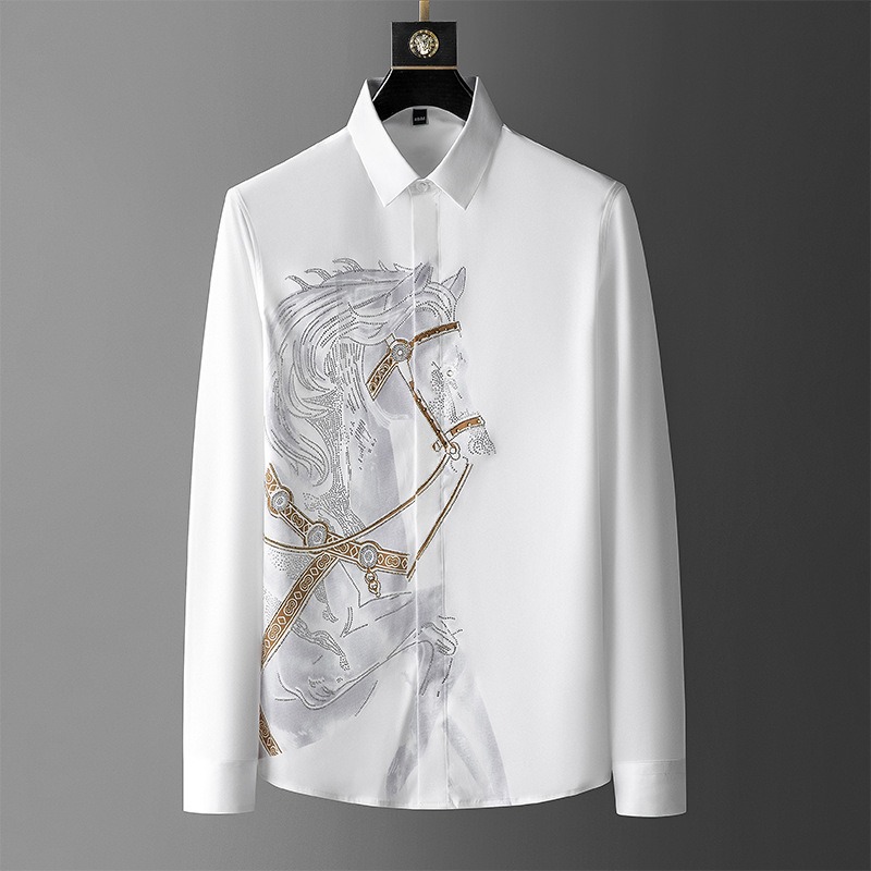 Dress White Shirts for Men Lon - Dress Shirt Non-Iron review and price