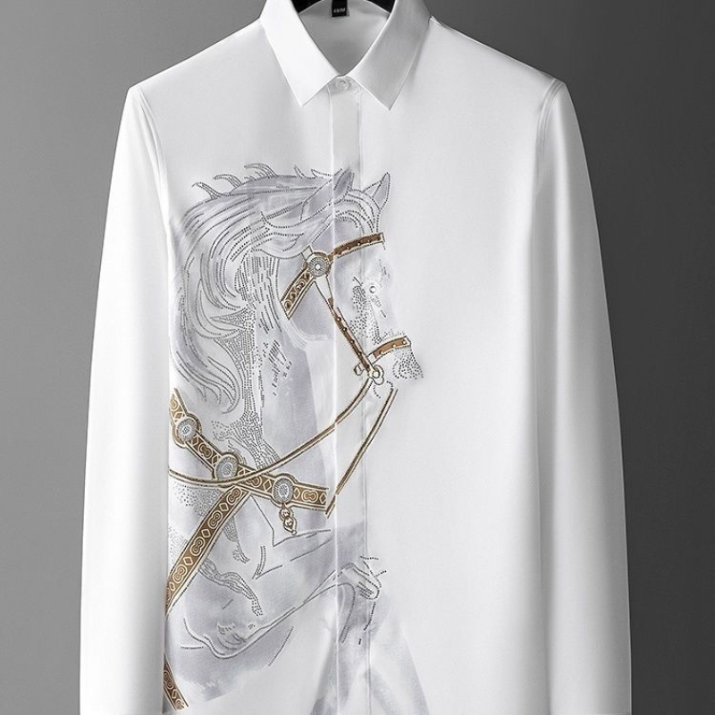 Dress White Shirts for Men Lon - Dress Shirt Non-Iron review and price